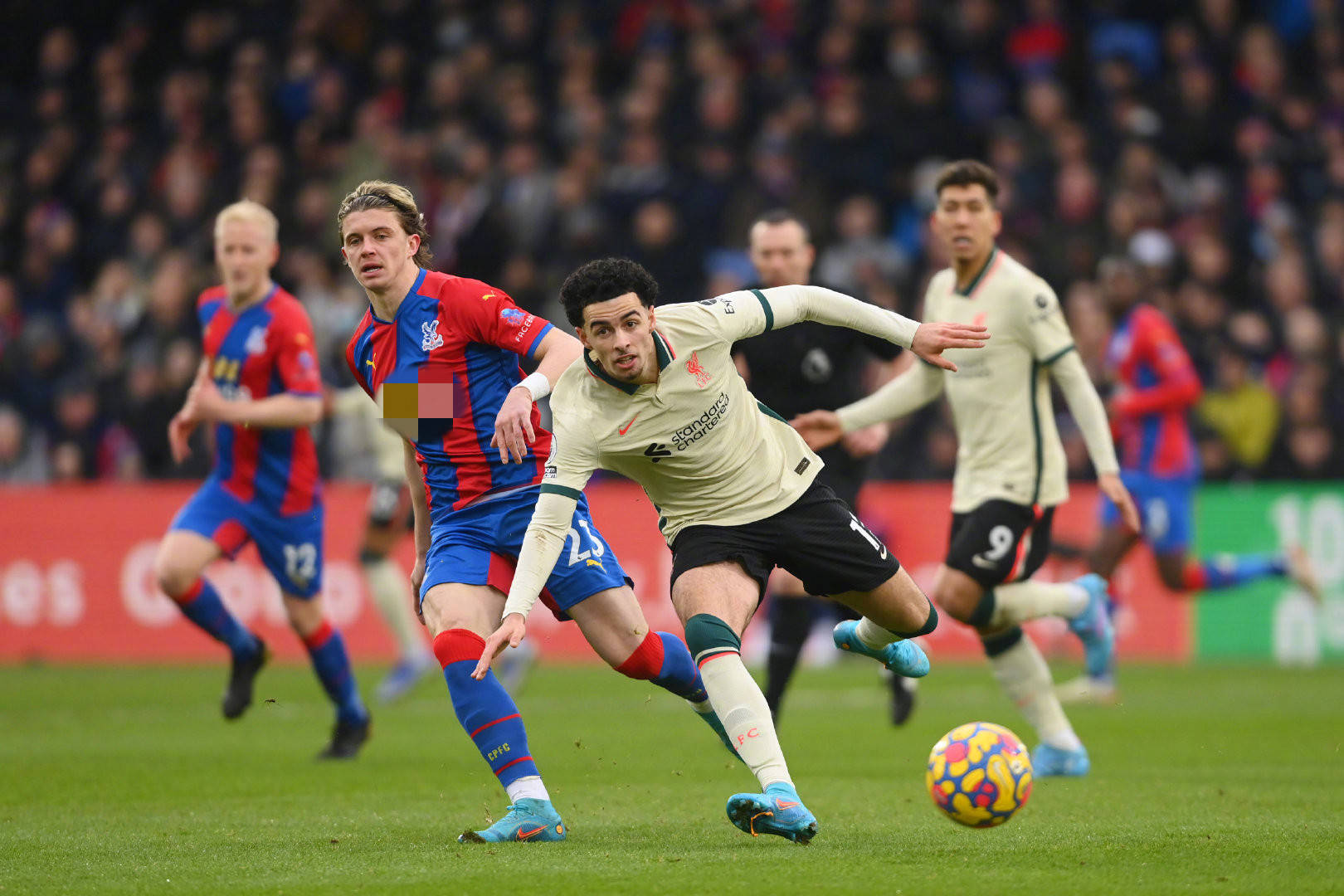 在这些活动 在这些活动